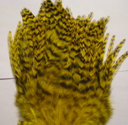 schlappen + saddle grizzy yellow